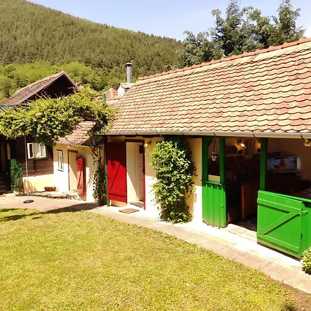 Casa Florica Wooden House * Gura Raului