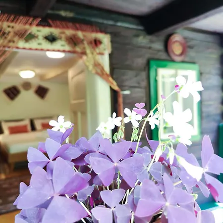 Casa Florica Wooden House *
