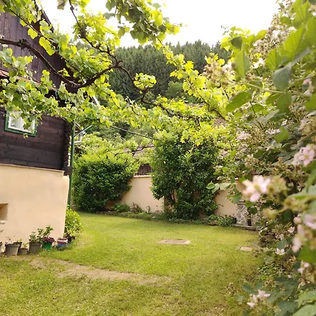 Holiday home Casa Florica Wooden House